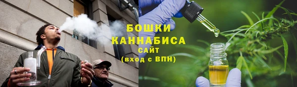 дурь Новодвинск
