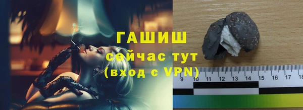 гашик Алексин