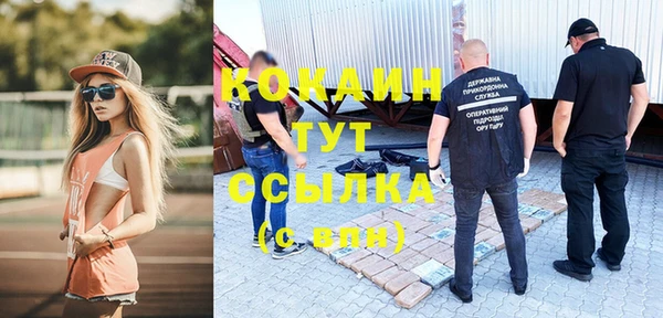 гашик Алексин