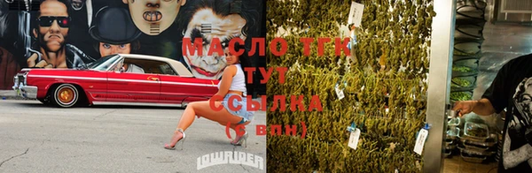 дурь Новодвинск