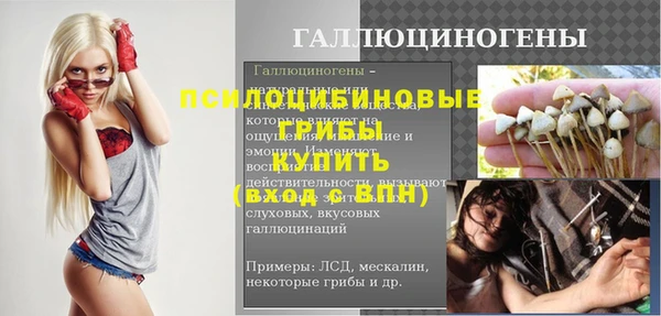 гашик Алексин