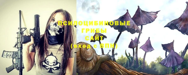 спиды Алзамай